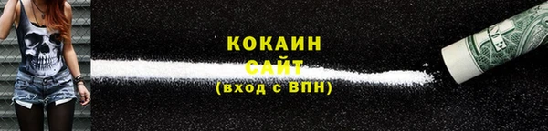 индика Баксан