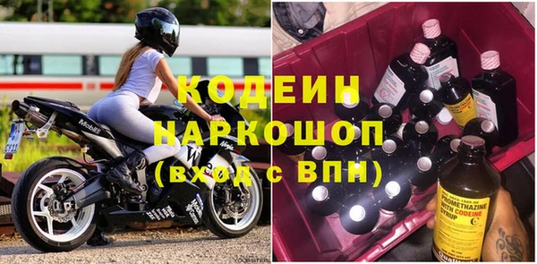 индика Баксан