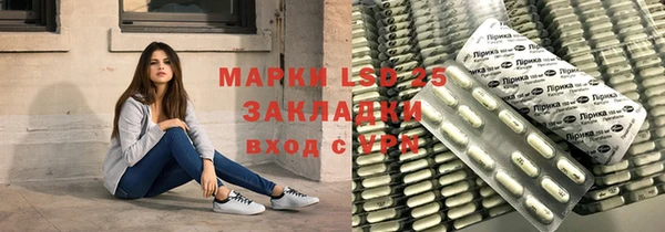 индика Баксан